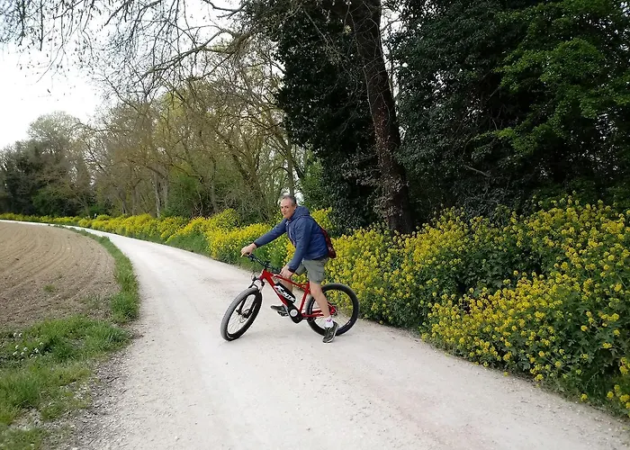 公寓 Residenza Corso Baccio SantʼElpidio a Mare