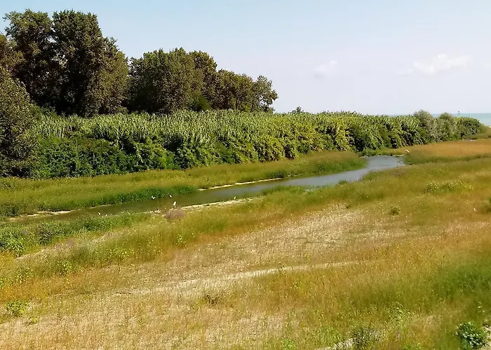 Residenza Corso Baccio *